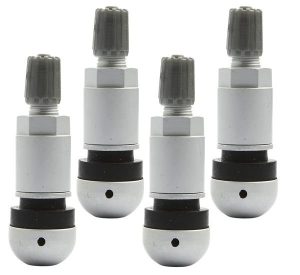Valve for pressure sensor BERU TPMS-01 - 4 pieces